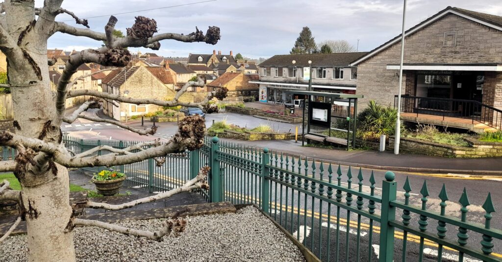 Paulton precinct