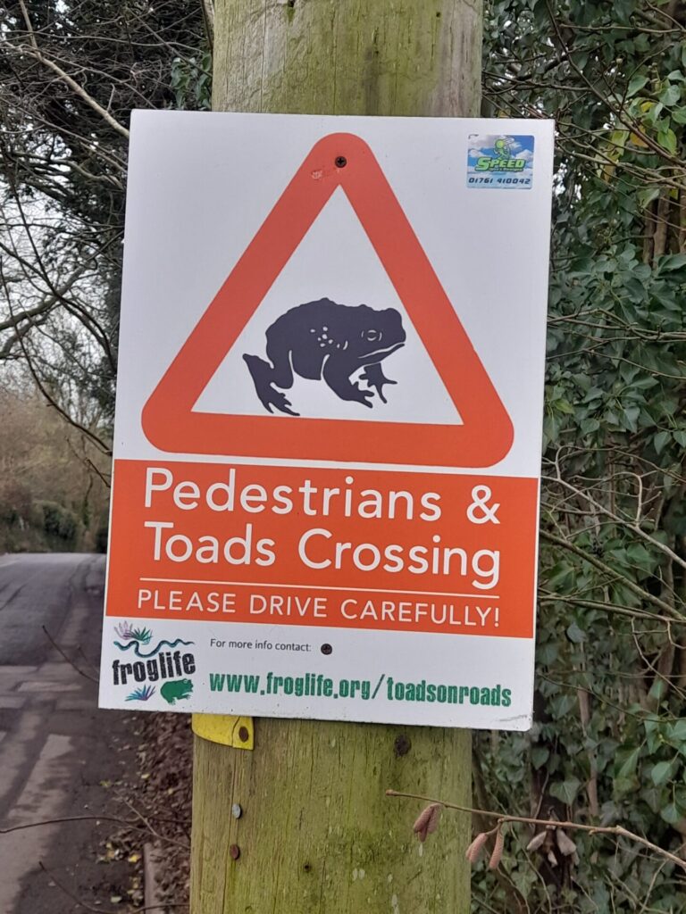 Toads crossing road sign