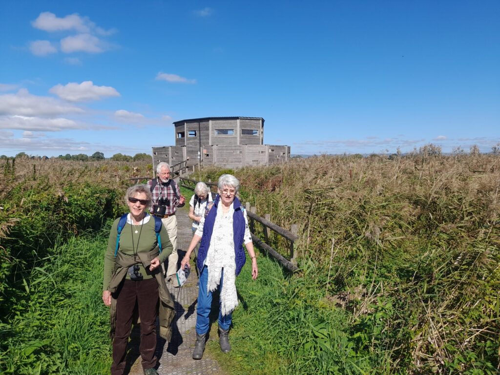 u3a birding group at Ham Wall in Sept 2026